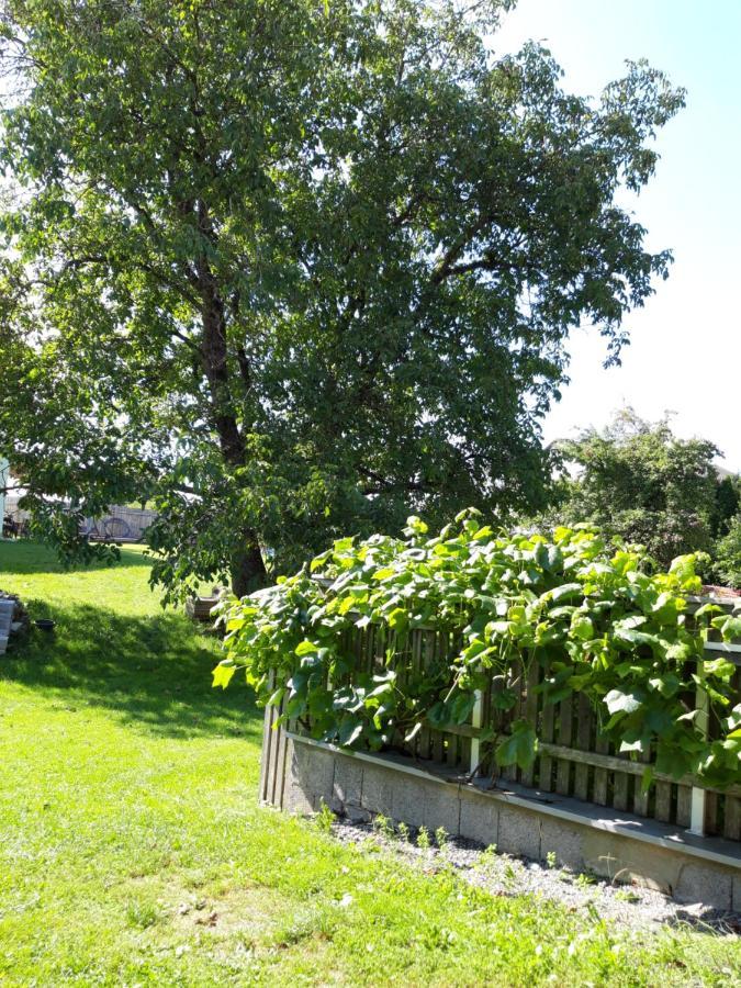 Ferienwohnung Im Seidlerhof Mit Balkon Und Garten Röhrnbach Kültér fotó