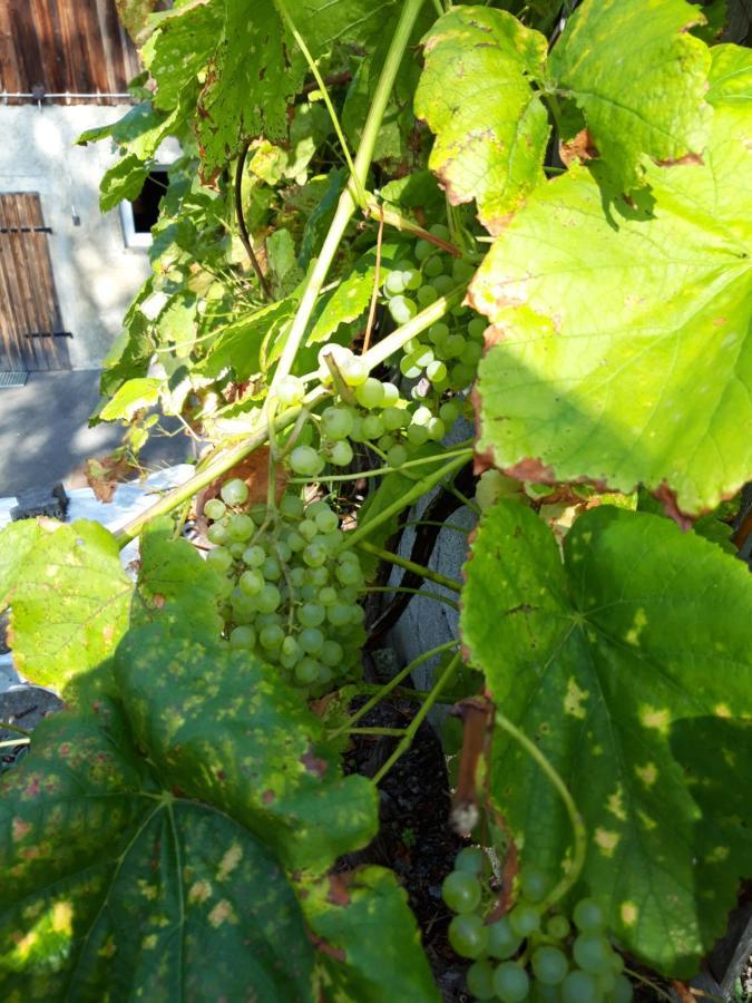 Ferienwohnung Im Seidlerhof Mit Balkon Und Garten Röhrnbach Kültér fotó