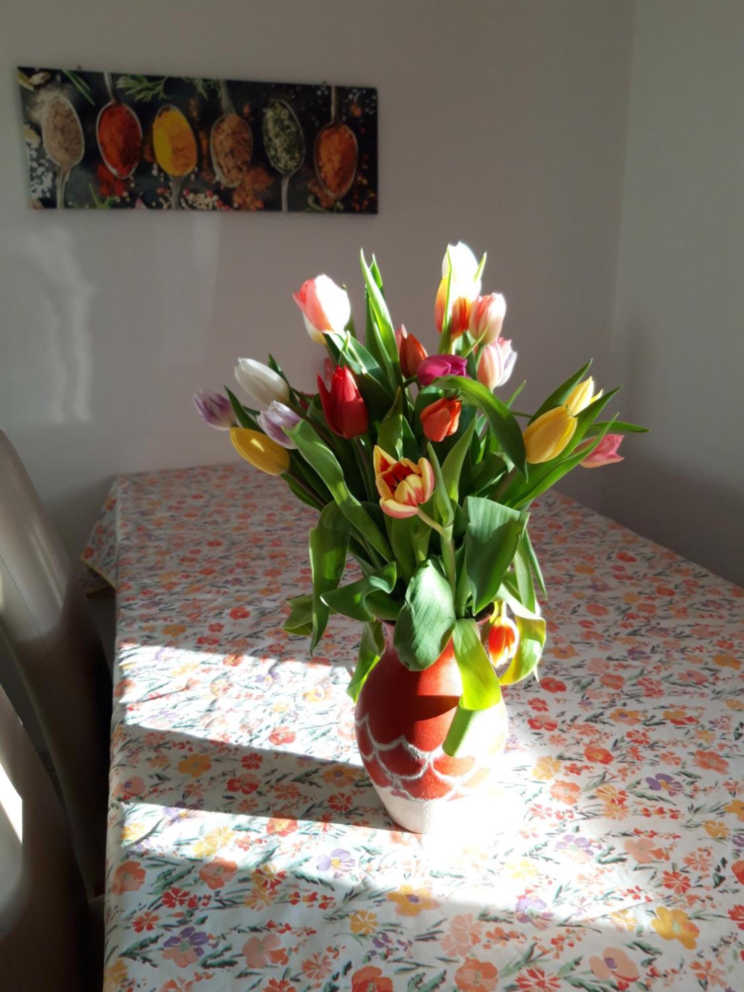 Ferienwohnung Im Seidlerhof Mit Balkon Und Garten Röhrnbach Kültér fotó